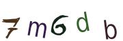 Beeld-CAPTCHA